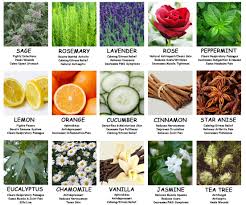 Variety of essential oils and plants that are good for healing and therapy.