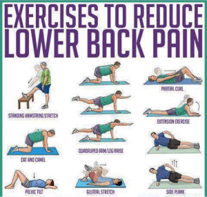 Exercises to reduce back pain, this chart will help.