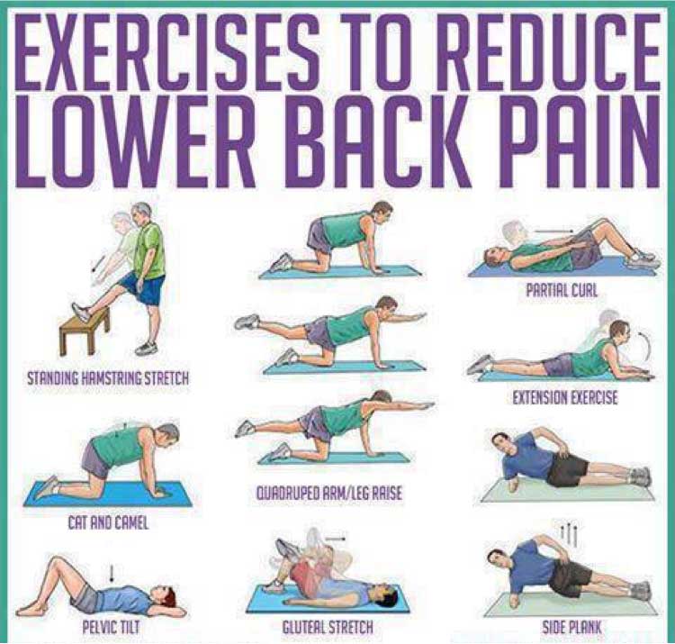 Lower Back Exercises: Ease Your Lower Back Pain